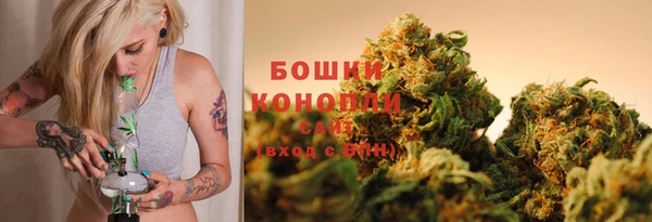 гидра Абаза