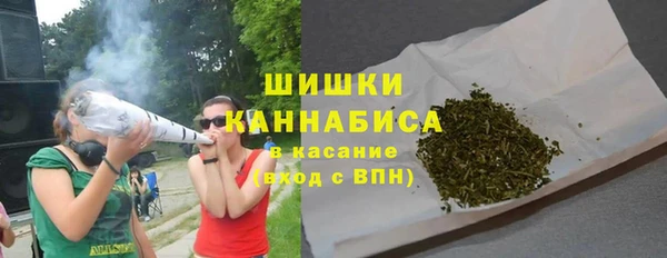 гидра Абаза