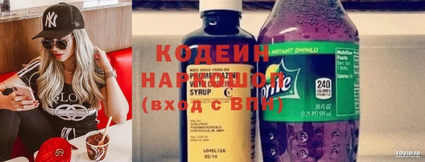 ГАЛЛЮЦИНОГЕННЫЕ ГРИБЫ Алзамай